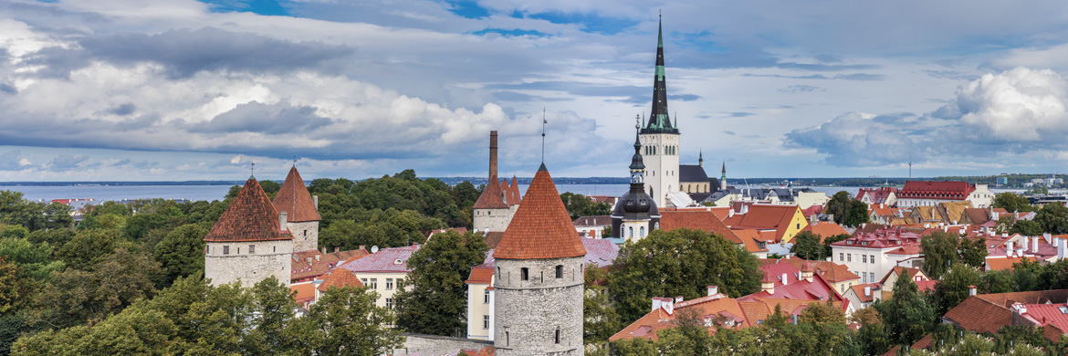 Photograph of Old Town Tallinn Panorama